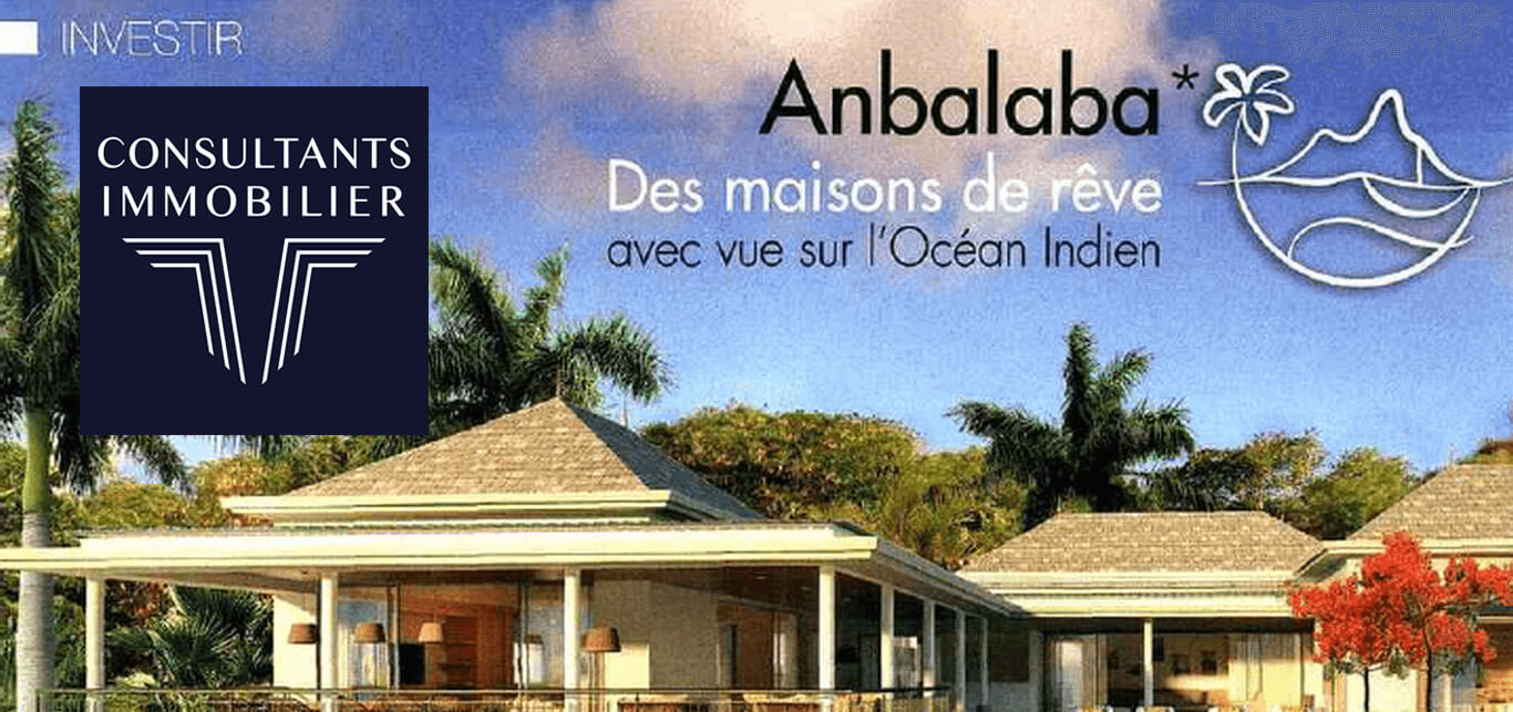 Article Consultants Immobilier