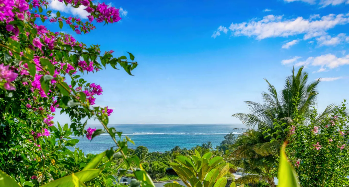 vue mer au domaine d'anbalaba