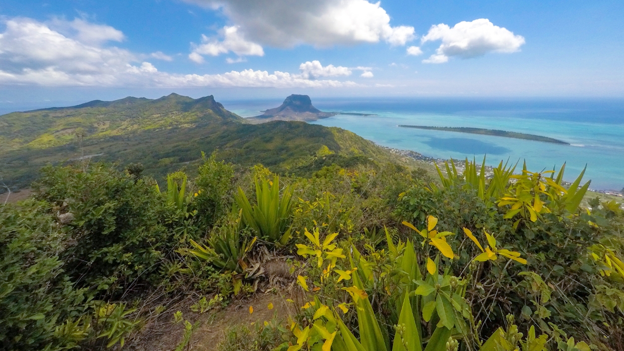 Le sud de l'île Maurice un véritable joyau à l’état brut 