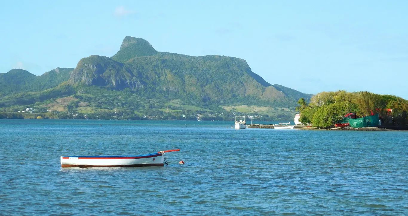 mountain lion mauritius