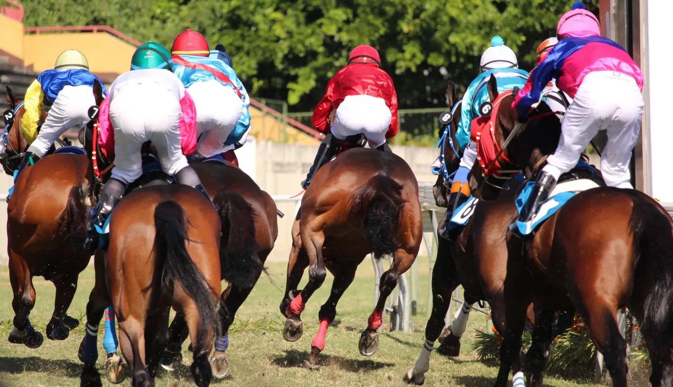 Hippodrome, centres équestres et balades sur la plage