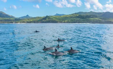 Buy a villa in Mauritius