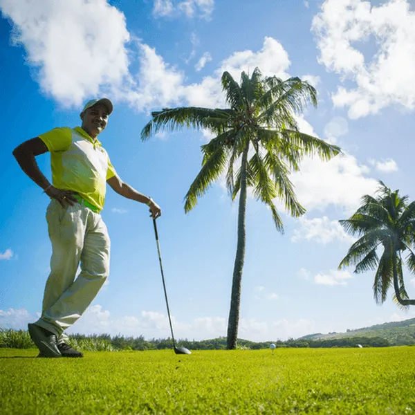 THE BENEFITS OF THE IRS SCHEME