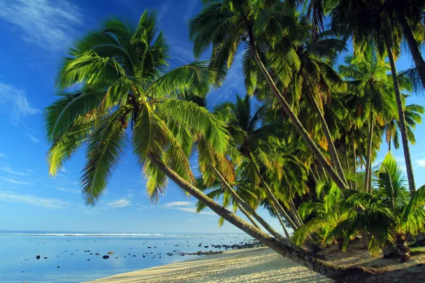Mauritius in December: Experience the magic of a tropical christmas