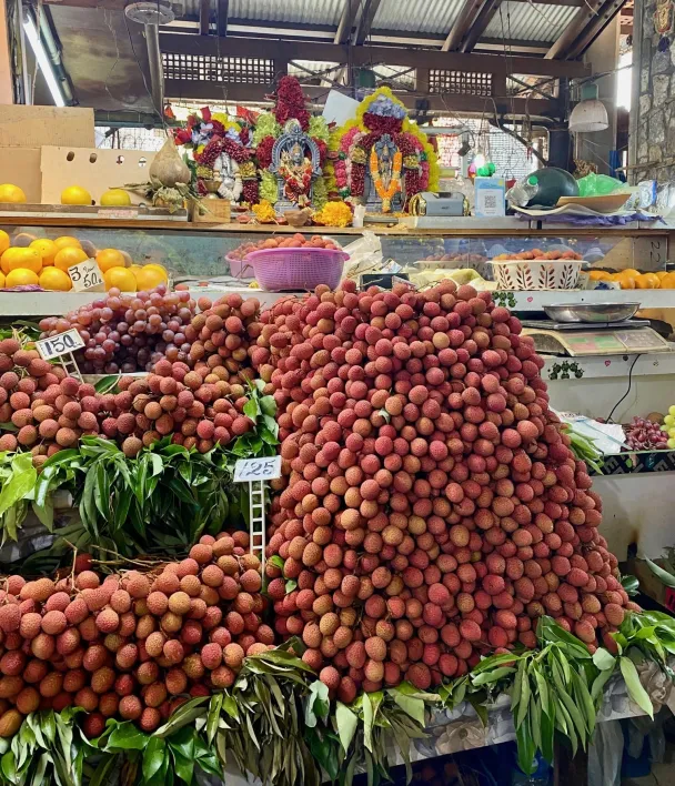 marche-port-louis-ile-maurice-alison-gorrity