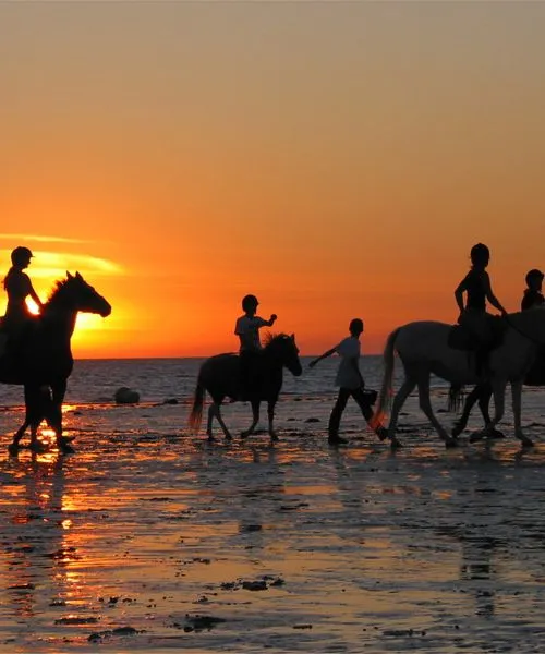 horses beach mauritius