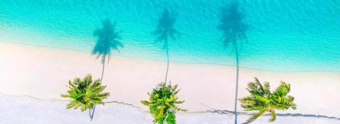 investment mauritius